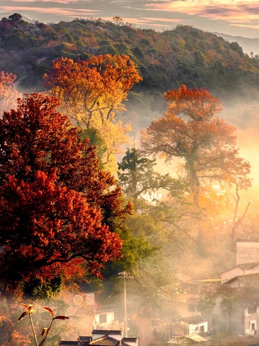 以为宏村秋色够美了，直到我来了这里🤩👍_1_稻草人旅行_江西婺源-来自52tours 我爱旅游网 (1)